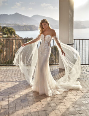 Robe de mariée Danae-1 à Agen