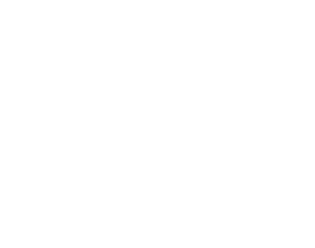 Sud Ouest